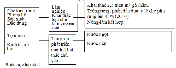 Ảnh đính kèm