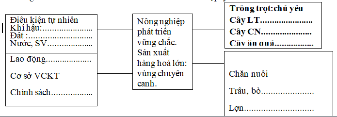 Ảnh đính kèm