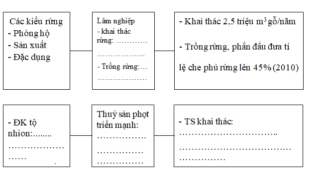 Ảnh đính kèm