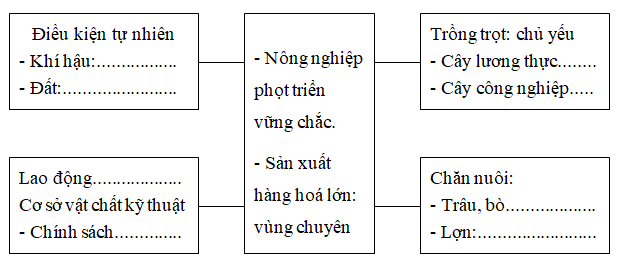 Ảnh đính kèm