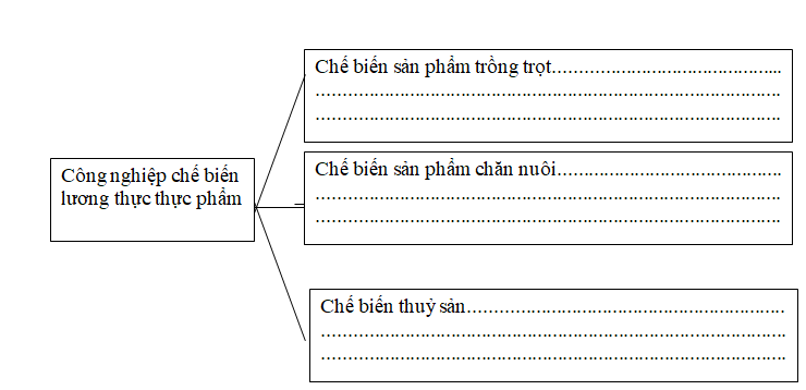 Ảnh đính kèm