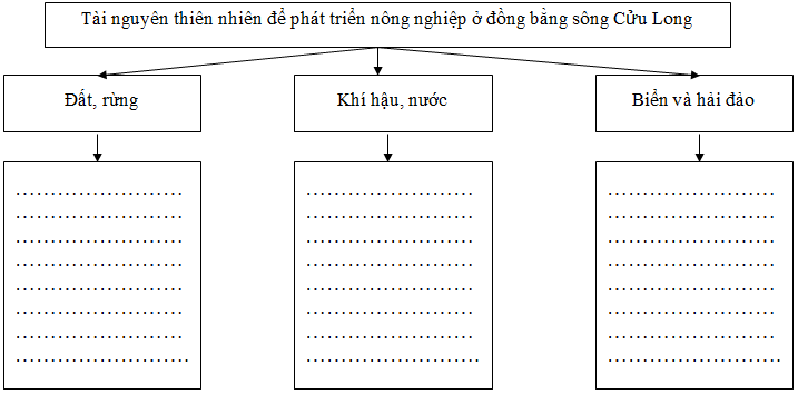 Ảnh đính kèm