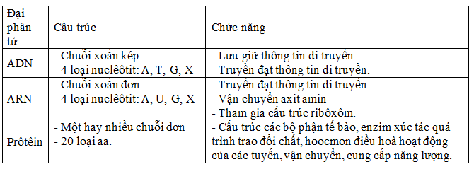 Ảnh đính kèm