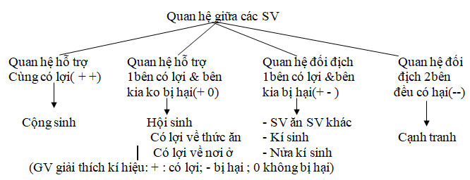 Ảnh đính kèm