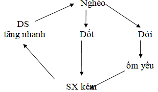 Ảnh đính kèm