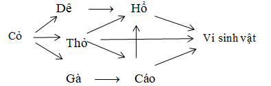 Ảnh đính kèm