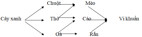 Ảnh đính kèm