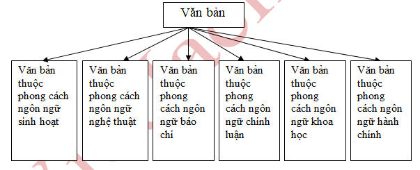 Ảnh đính kèm