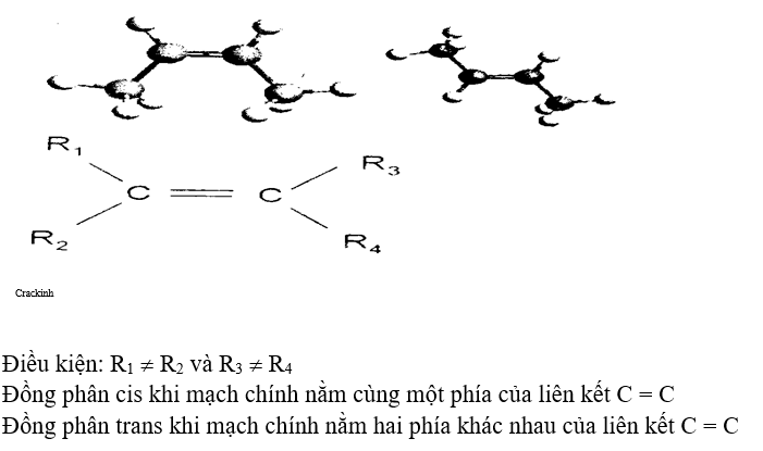 Ảnh đính kèm