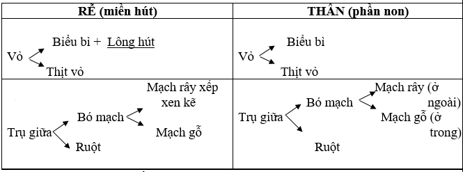 Ảnh đính kèm