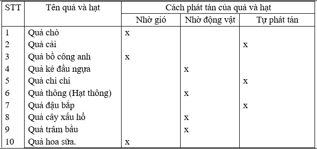 Ảnh đính kèm