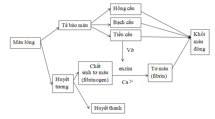 Ảnh đính kèm