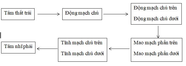 Ảnh đính kèm