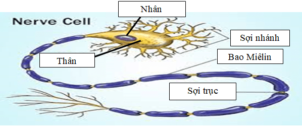 Ảnh đính kèm