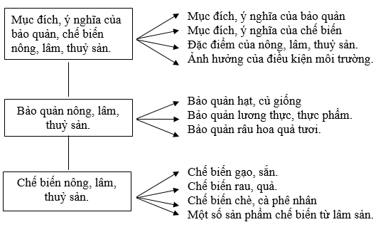 Ảnh đính kèm