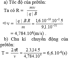 Ảnh đính kèm