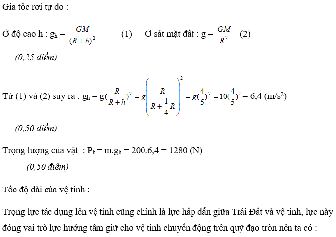 Ảnh đính kèm