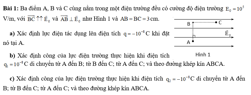 Ảnh đính kèm