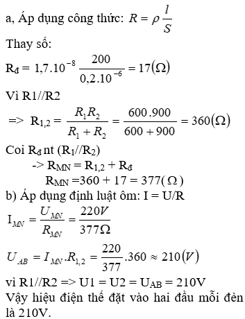 Ảnh đính kèm