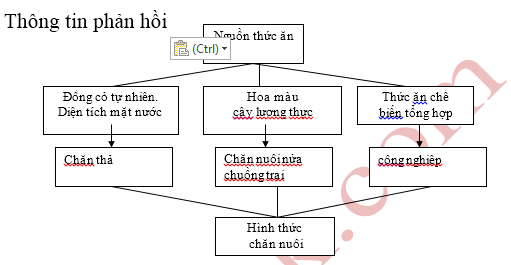 Ảnh đính kèm