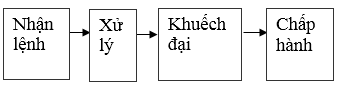 Ảnh đính kèm