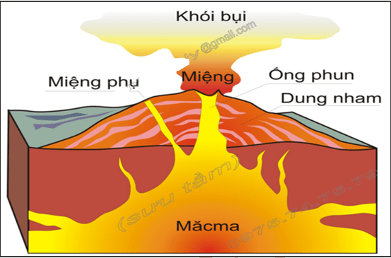 Ảnh đính kèm